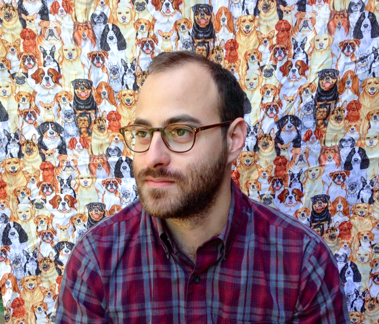 About the Artist - Mitch Paster