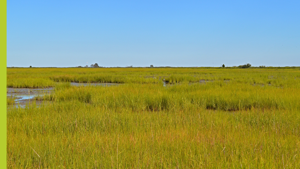 Inspired by Place: Delaware's Landscapes and Conservation Through Art and Film