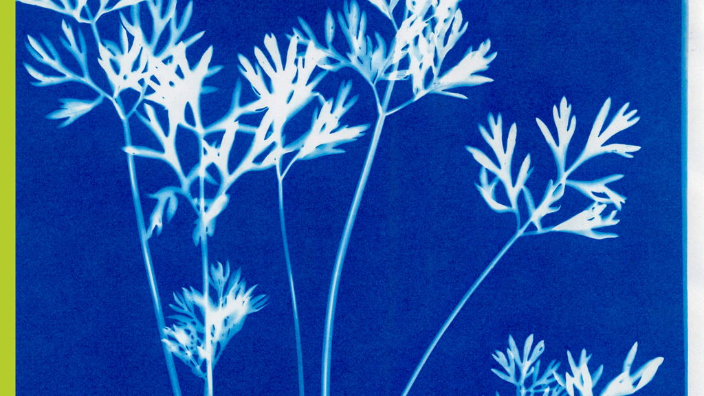 Our Watershed: Cyanotype Workshop with Jon Cox